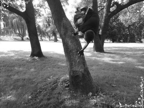 olo<a href="profile.php?lookup=388"> - Alex</a><br/>
		         Komentarzy: 1
 Obejrzano:  25228 Ocena: <img src="images/star.gif" alt="*" style="vertical-align:middle"/><img src="images/star.gif" alt="*" style="vertical-align:middle"/><img src="images/star.gif" alt="*" style="vertical-align:middle"/><img src="images/star.gif" alt="*" style="vertical-align:middle"/><img src="images/star.gif" alt="*" style="vertical-align:middle"/>
